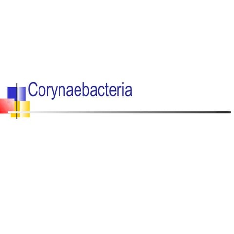 Corynaebacteria