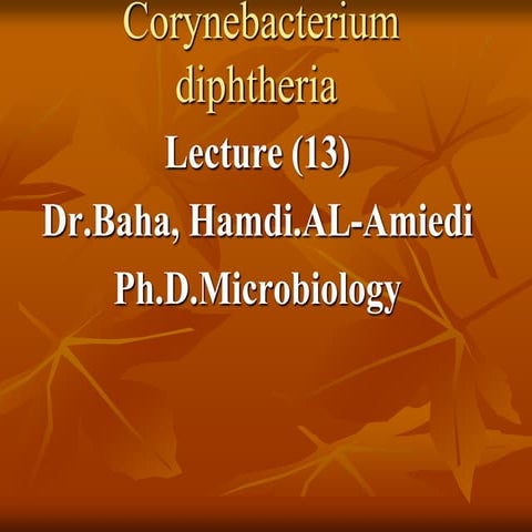 Corynebacteria.pdf