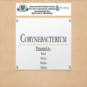 microbiology corynebacterium-11 fcm (1).pptx