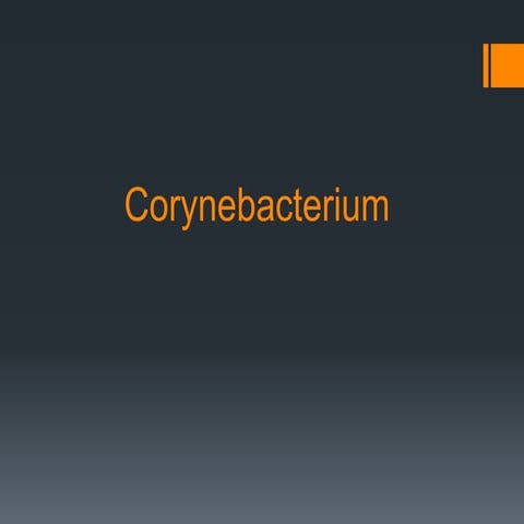 Corynebacterium