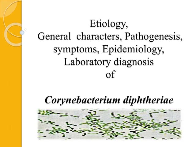 Bacterial diseases - Corynebacterium 