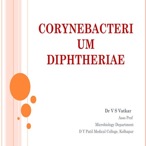 Corynebacterium
