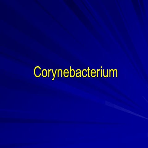 عملي Corynebacterium-1 (Muhadharaty).ppt
