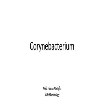 Corynebacterium.pptx