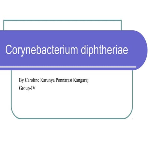 Corynebacterium diptheriae(Microbiology)