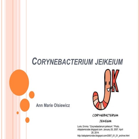 lCorynebacterium jeikeium