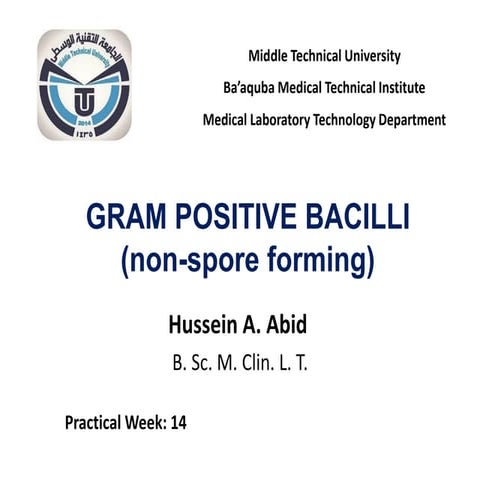 Corynebacterium spp. & Listeria monocytogenes (Practical Medical Microbiology...