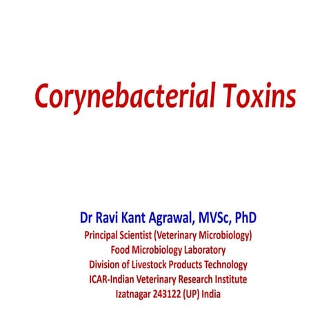 Corynebacterium toxins