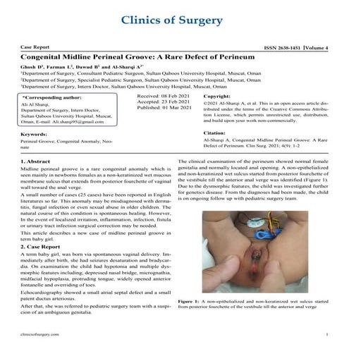 Congenital Midline Perineal Groove: A Rare Defect of Perineum