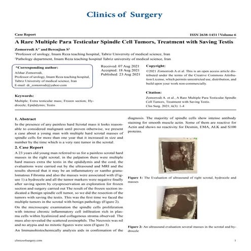 A Rare Multiple Para Testicular Spindle Cell Tumors, Treatment with Saving Te...
