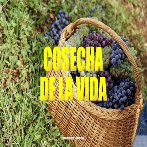 Cosecha de la vida
