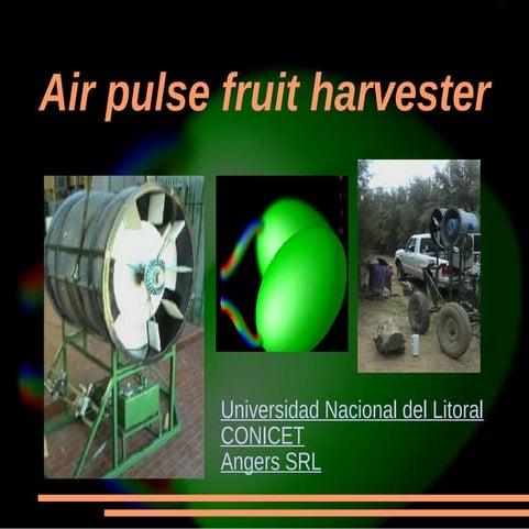 Air pulse fruit harvester