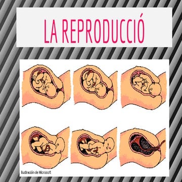 Cos huma la reproducció