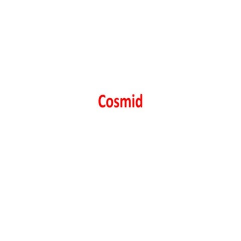Cosmid