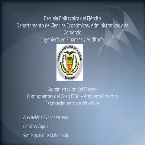 Evaluación de Riesgos Empresariales bajo el Marco COSO ERM | PDF