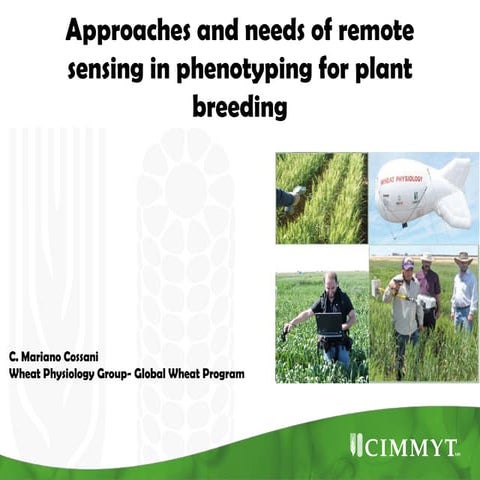 Approaches and needs of remote sensing in phenotyping for plant breeding