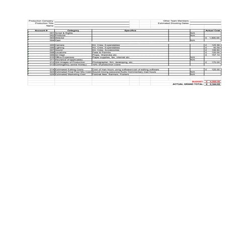 Budget pdf sheet1 | PDF