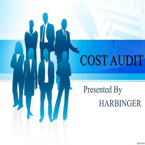 Cost audit 