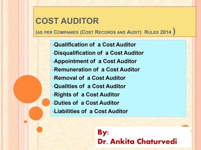 Cost auditor