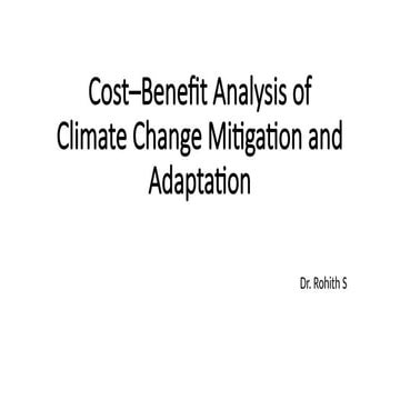 Comprehensive Cost–Benefit Analysis of Climate Change Mitigation and ...
