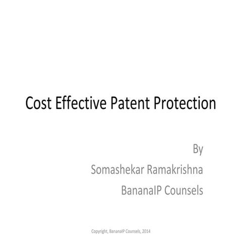 Cost effective patent protection