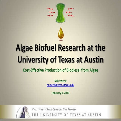 Cost Effective Production of Algae Oil - Mike Werst - Feb 2010