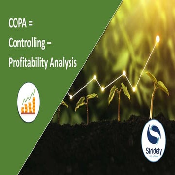 SAP CO-PA (Controlling-Profitability Analysis)