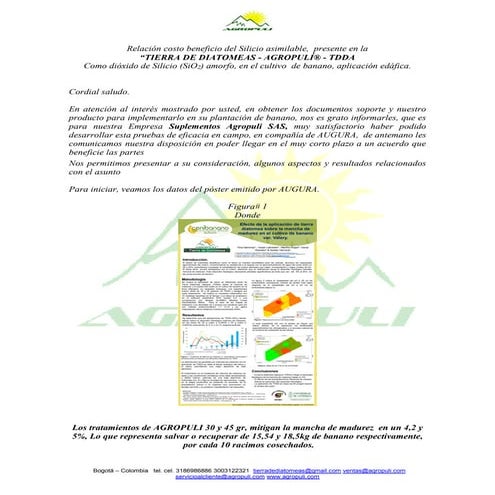 Costo beneficio en banano 6 docx