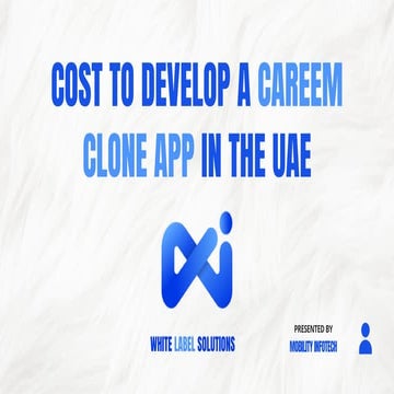 Cost to Develop a Careem Clone App in the UAE | PDF
