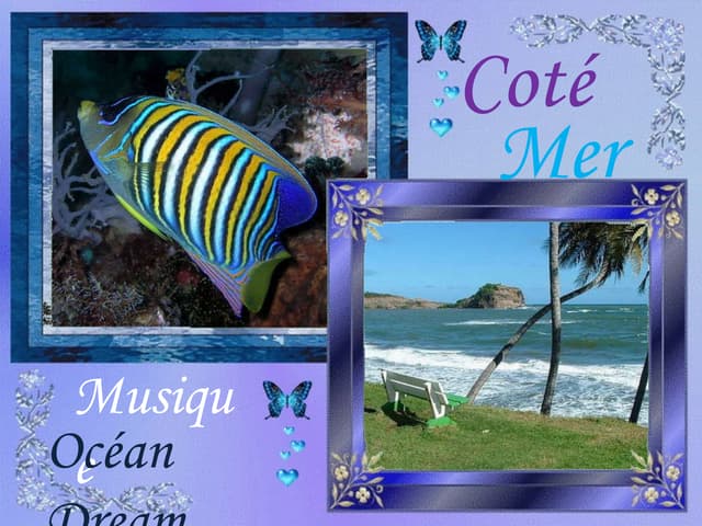 Cote mer