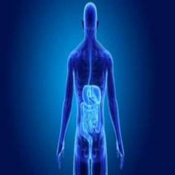 COT GRADE 8 - DIGESTIE SYSTEM.pptx
