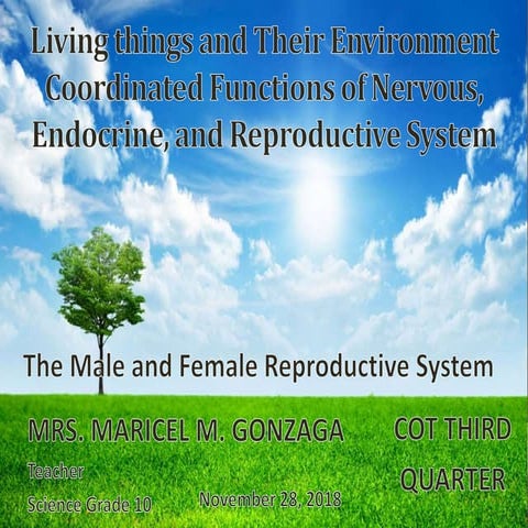 COT Third Quarter Powerpoint Presentation18-19.pptx