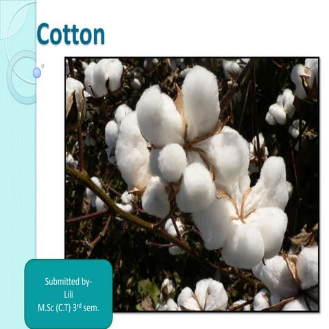Cotton fiber manufacturing, physical and chemical properties