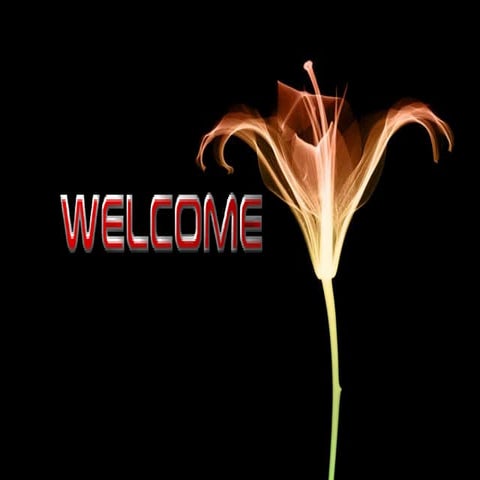 Cotton botanical aspects