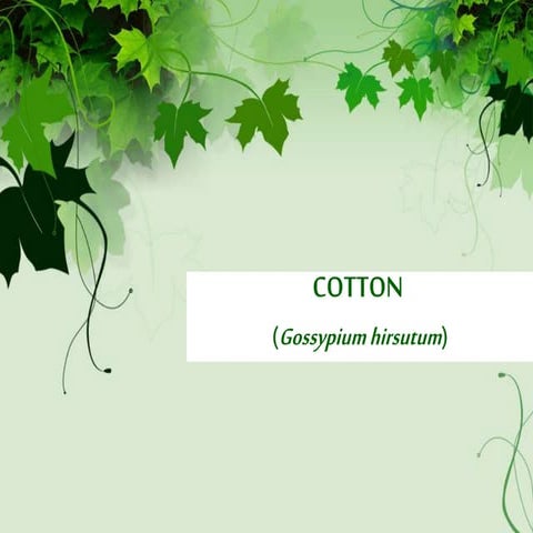 All Details About Cotton