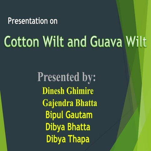 Cotton and guava wilt