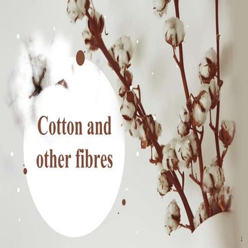 Cotton and other fibers in india