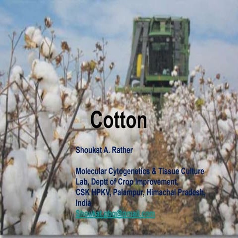 Cotton breeding
