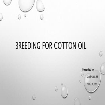 BREEDING FOR COTTON OIL