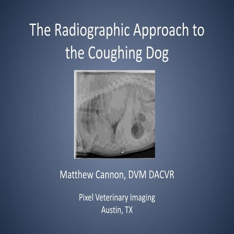 THORAX RADIOGRAPHIC INTERPRETATION CANINE | PPTX
