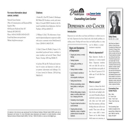 Counseling depression brochure