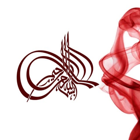 Counter Current Immunoelectrophoresis