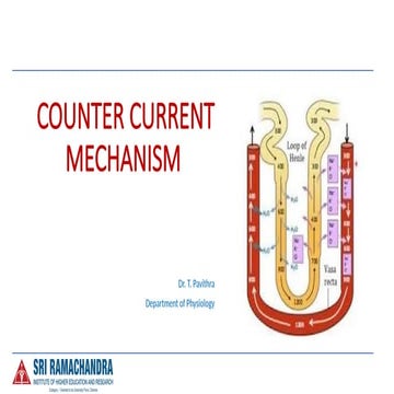 COUNTER CURRENT MECHANISM in excretion.pptx