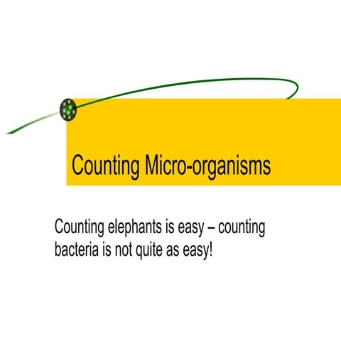 Counting Micro Organisms