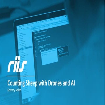 Counting sheep with Drones and AI
