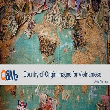 Country-of-origin importance among Vietnamese