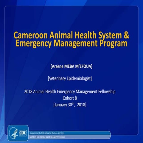 Cameroon animal health system & emergency management system