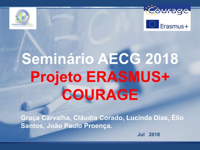 Outputs of the ERASMUS + COURAGE Project 