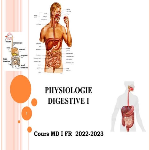 COURS  - PHYSIOLOGIE DIGESTIVE I- MD I 2022-23.pptx