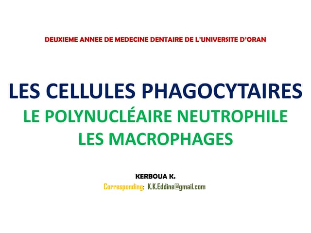 Cours 3 les cellules phagocytaires
